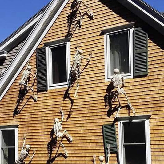 Spooky Skeleton Spectacle