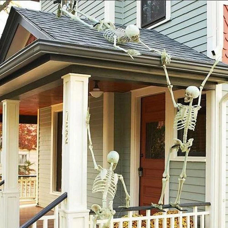 Spooky Skeleton Spectacle